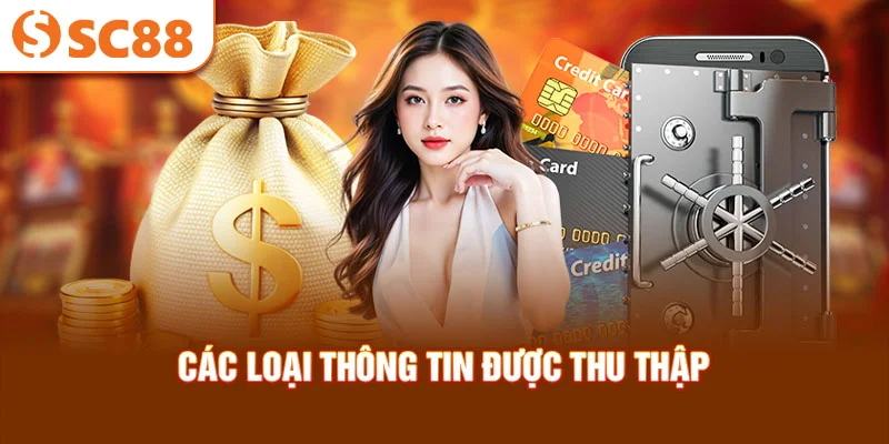 cac-loai-thong-tin-duoc-thu-thap