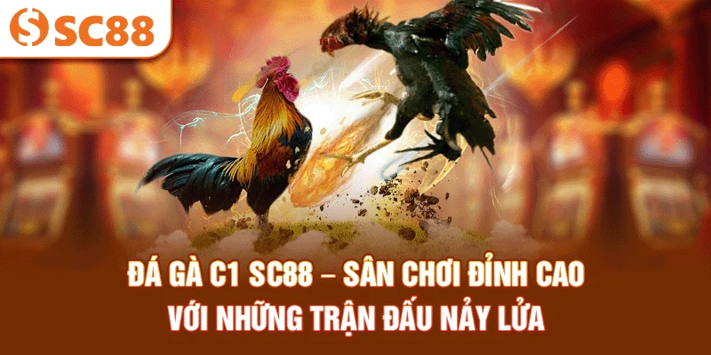 da-ga-c1-sc88-–-san-choi-dinh-cao-voi-nhung-tran-dau-nay-lua