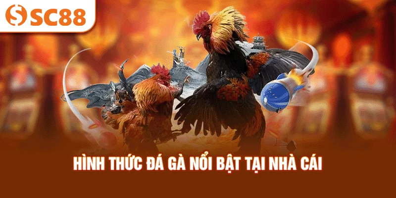 hinh-thuc-da-ga-noi-bat-tai-nha-cai