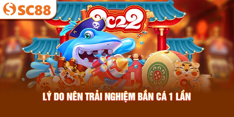 ly-do-nen-trai-nghiem-ban-ca-1-lan