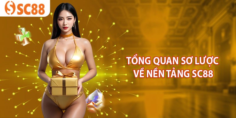 tong-quan-so-luoc