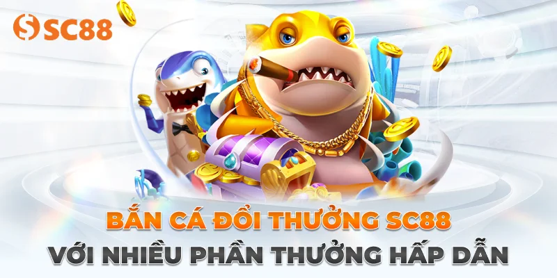Chiến thuật săn cá hiệu quả thắng cao