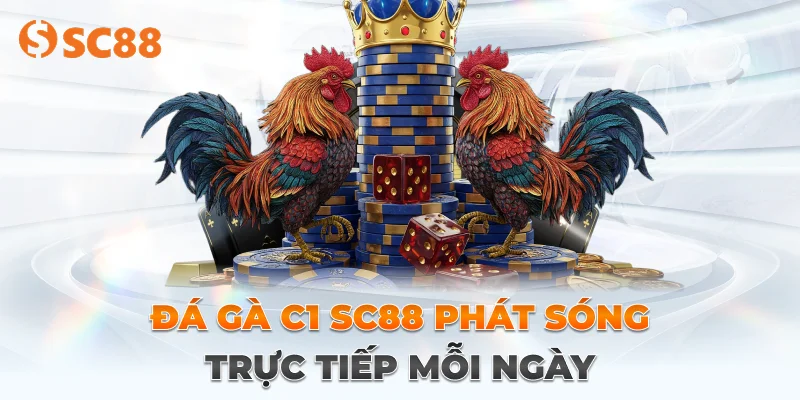 Ưu điểm khi tham gia đá gà tại sc88