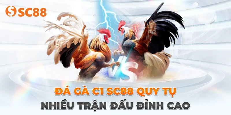 Sơ lược về bộ môn đá gà c1