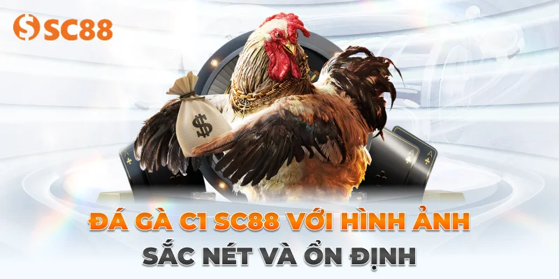 Ưu điểm vượt trội sảnh đá gà